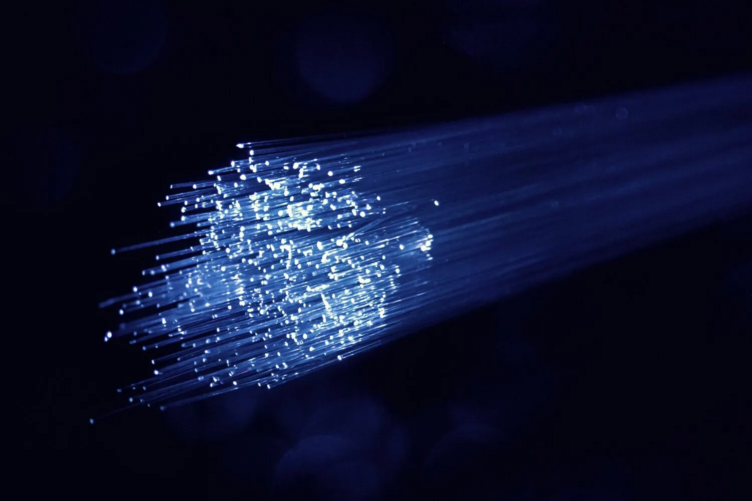 Close-up of illuminated fiber optic cables in a dark environment, showing bright blue light and small points of light scattering at the ends. This imagery subtly mirrors the way economic data can reveal important insights about inflation trends in 2022.