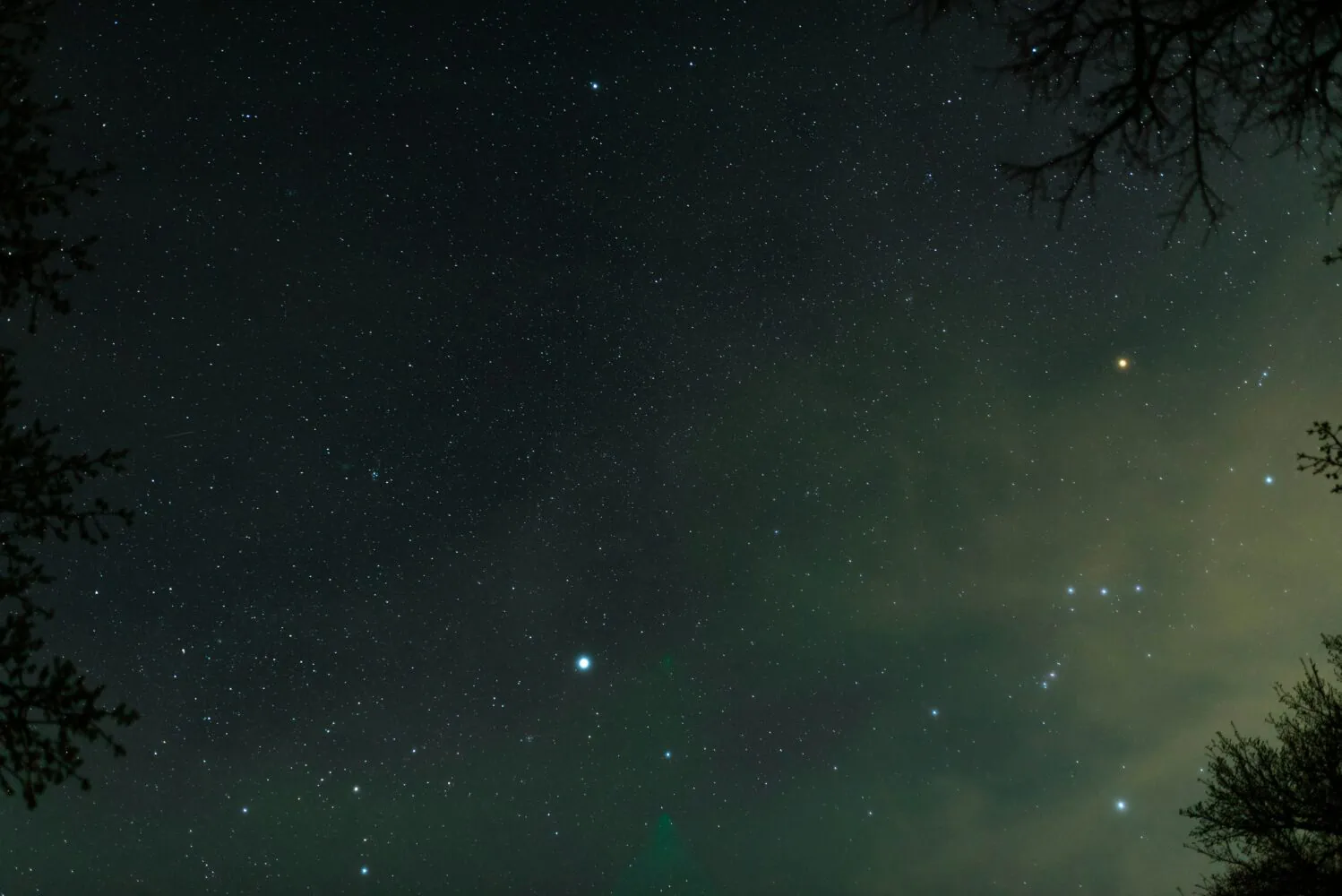 A clear night sky filled with stars and faint constellations, framed by the silhouettes of tree branches, offers profound insights reminiscent of commodities in 2022.