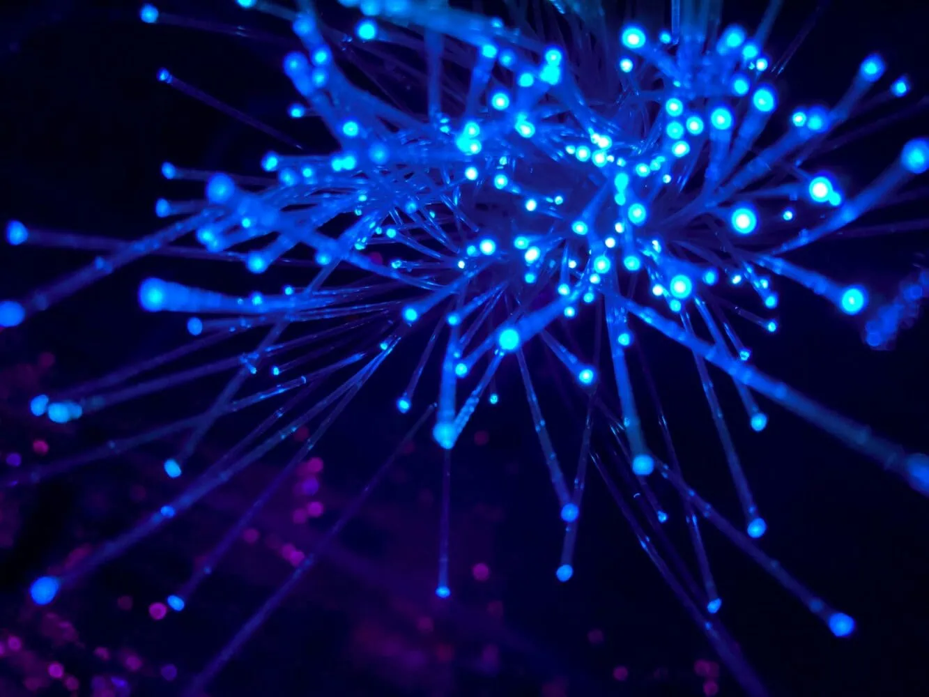 Close-up of blue and purple fiber optic cables with illuminated ends against a dark background, creating a glowing effect, reminiscent of asset allocation in a dynamic portfolio.